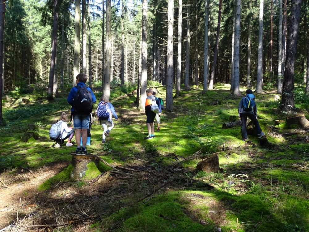 2021-Sommercamp