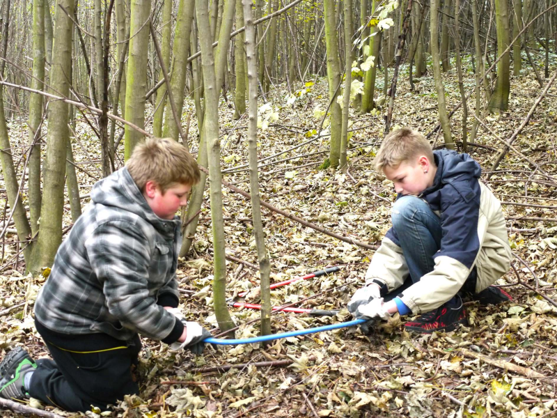 Natur und Umwelt 4 Natur und Umwelt 4